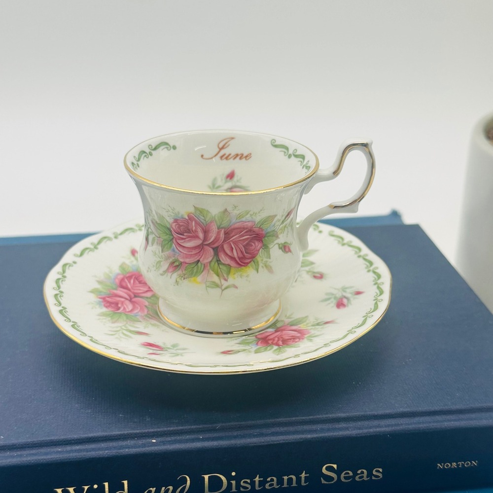 Queen's June Birth Month Pink Rose Fine Bone China Teacup and Saucer Set